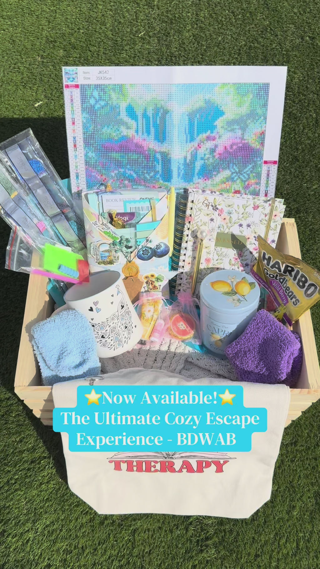 The Premium Cozy Experience - Blind Date With a Book