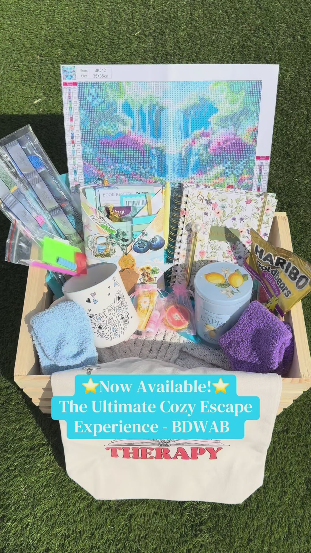 The Premium Cozy Experience - Blind Date With a Book